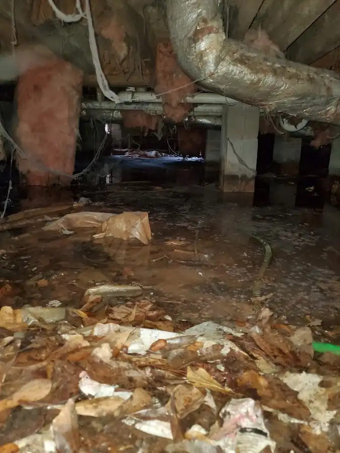 Crawl space flood assessment for Leak Detection & Repair in Elma