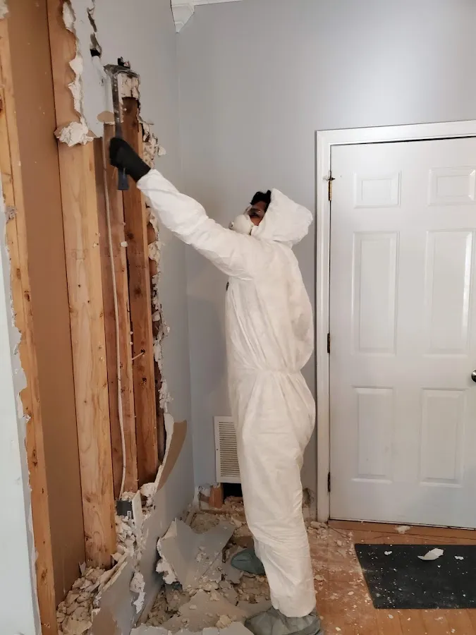 Basement Flood Cleanup in Elma, NY